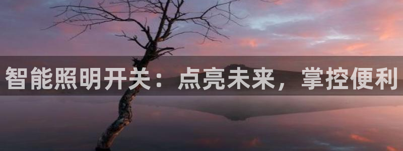 云顶国际服汉化