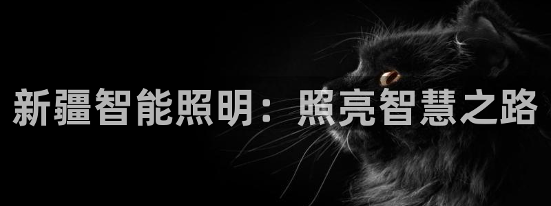 云顶国际服怎么下