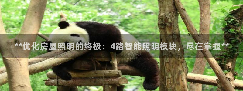 云顶集团游戏app网页版