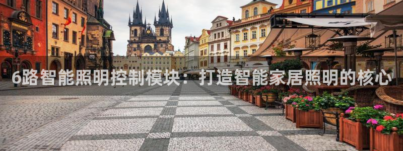 云顶国际电话号码查询