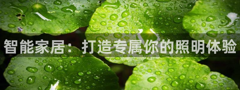 禹州云顶国际二手房
