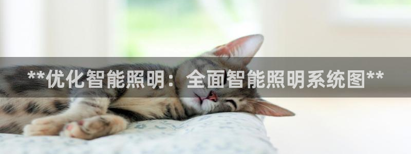 云顶国际官网app下载