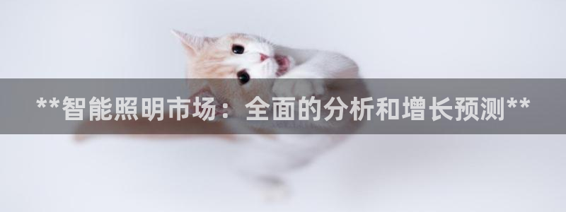 云顶国际服怎么下