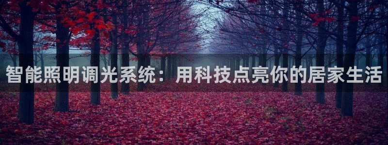 云顶国际晟荣协会