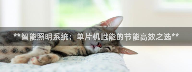 云顶vn