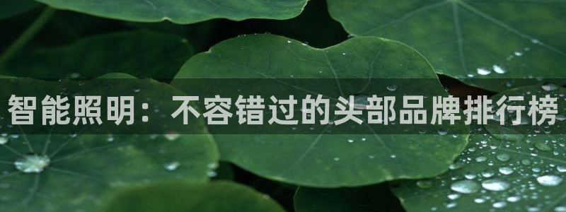 云顶国际服什么时候更新s108