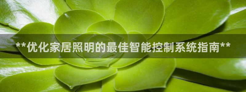 云顶官网网址