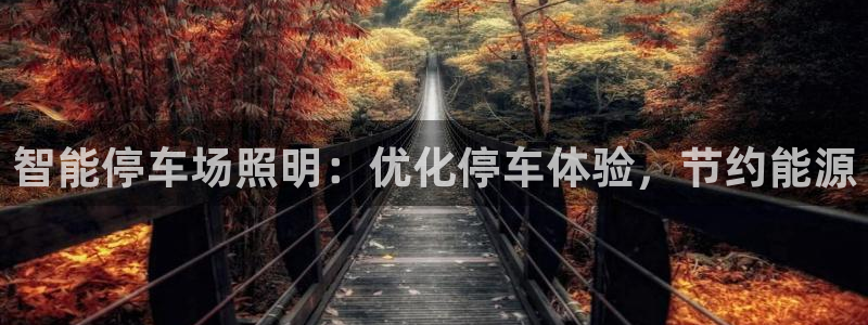 云顶集团简介概况