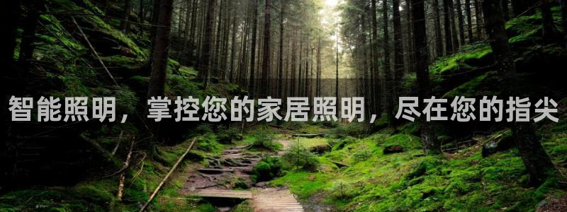 云顶国际停车费多少钱