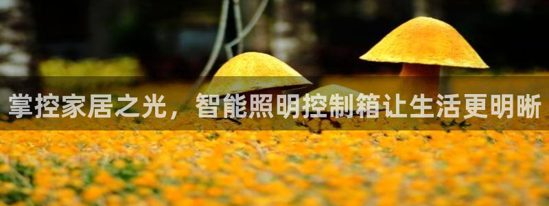 云顶国际服什么时候更新s108