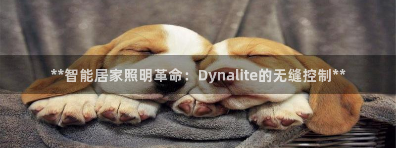 云顶集团 中国排名第几