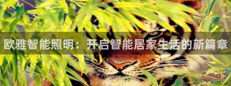 云顶国际官网