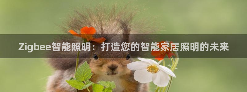云顶集团优惠申请大厅
