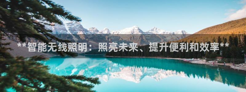 云顶国际中国官方网站