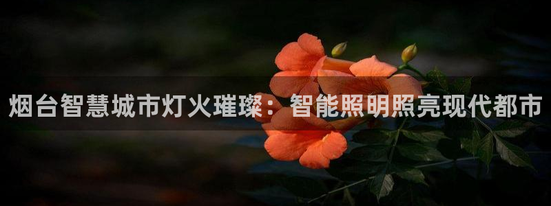 禹州云顶国际二手房