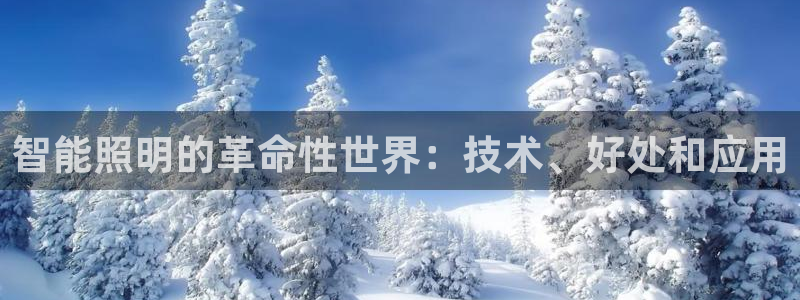 云顶国际在线购彩