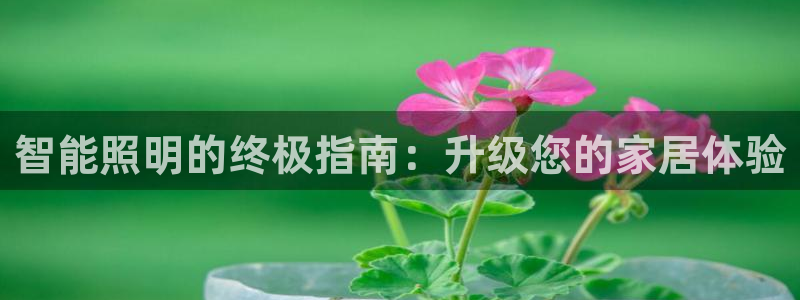 云顶国际酒店位置