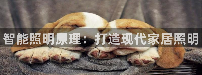 云顶最新
