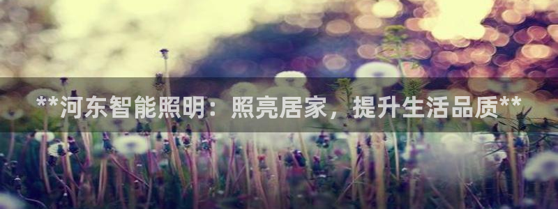 云顶国际官方网站下载手机版