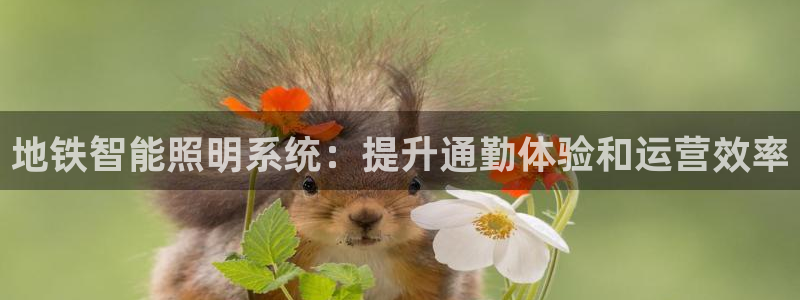 登录云顶集团怎么登录