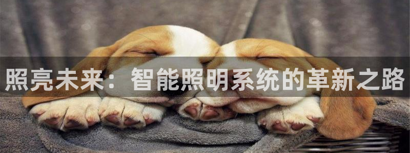 云顶国际官网下载手机版