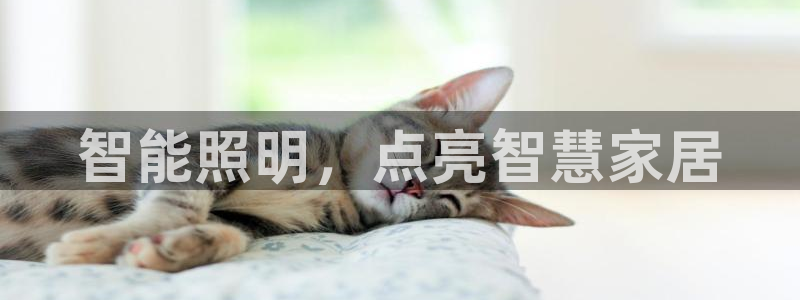 云顶国际服修改不了传说装备