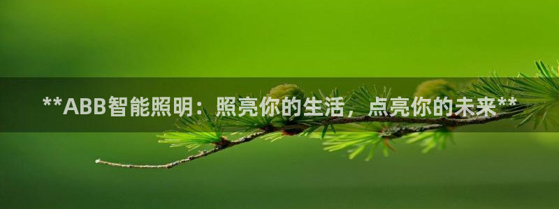 云顶国际服选哪个服务器好