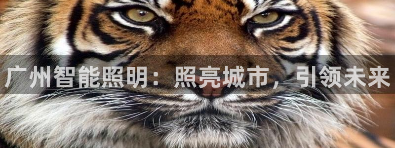 云顶国际二手房价格
