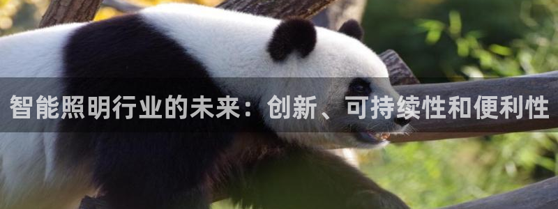 云顶国际app免费下载