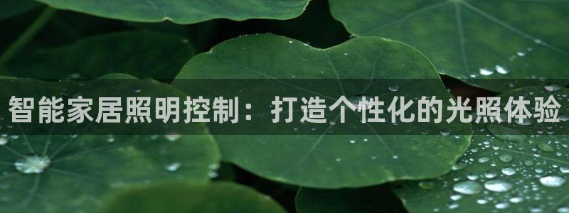 云顶国际酒店电话多少