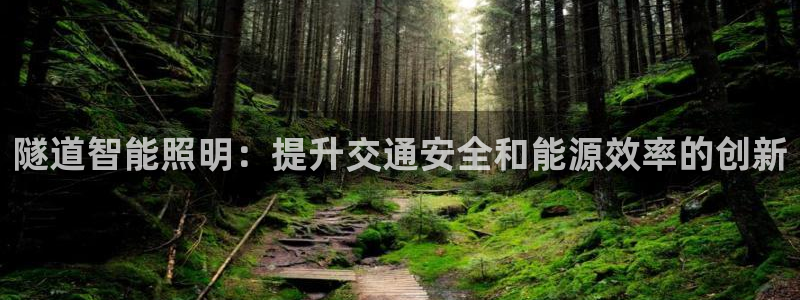 云顶国际游戏网址是什么