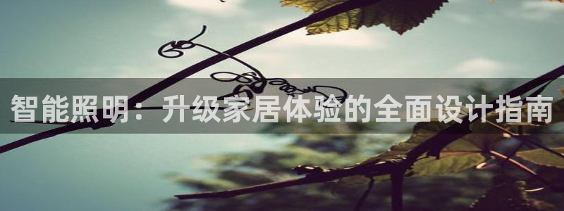 云顶国际app官网下载