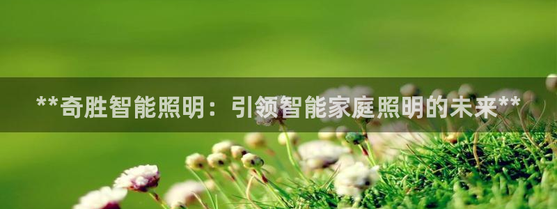 云顶国际中国官方网站入口