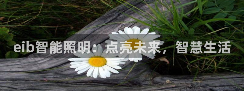 云顶集团3118官网