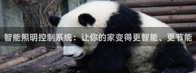 云顶国际集团发展有限公司