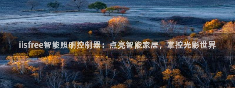 云顶国际在线购彩怎么买