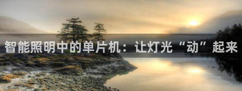 云顶国际网站怎么进不去了