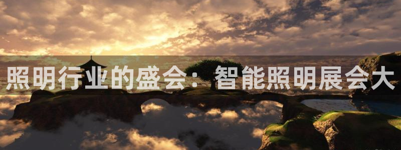 云顶国际服联机