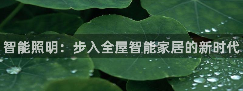 云顶国际提款不到账怎么回事