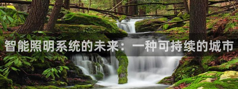 云顶国际停车费
