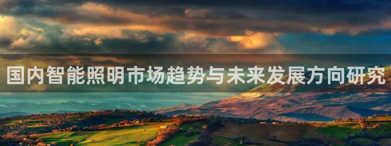 云顶集团高管