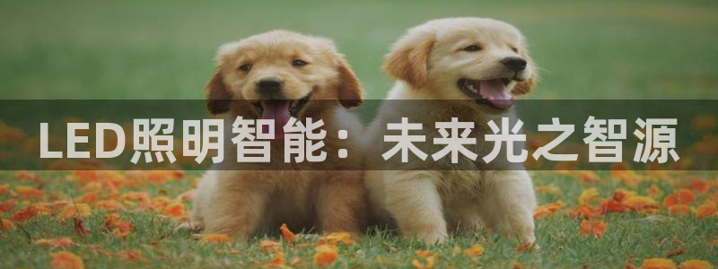 12311云顶线路检测：LED照明智能：