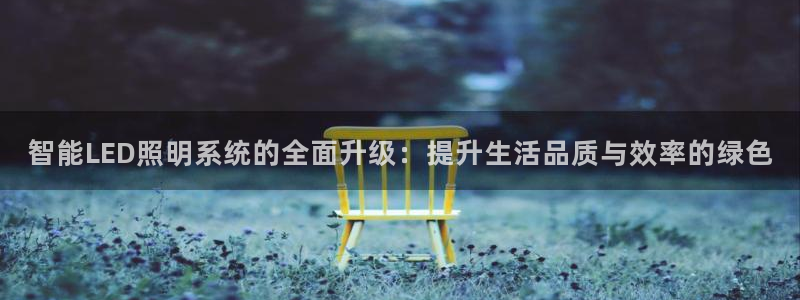 云顶国际服充值