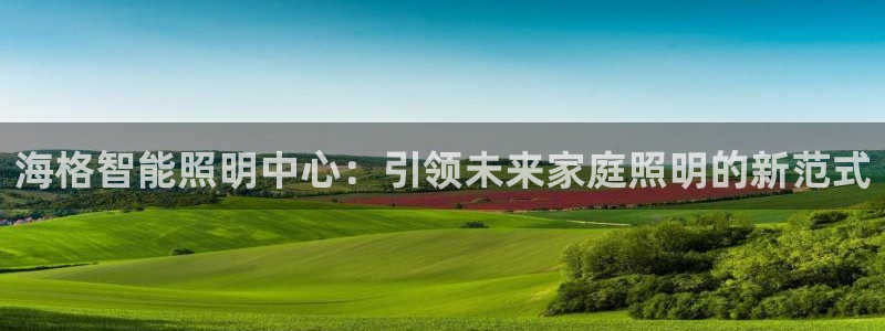 云顶国际投资有限公司