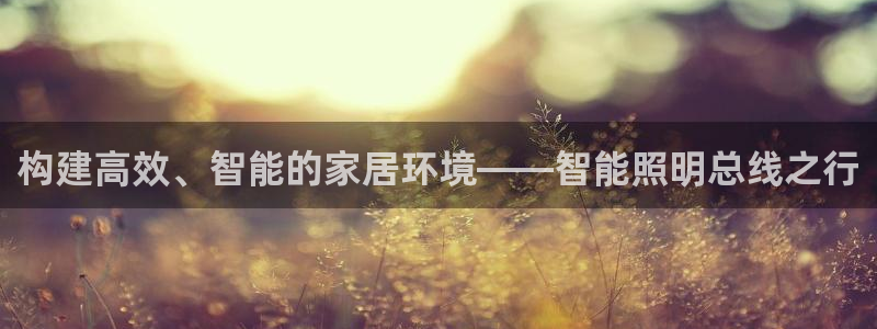 云顶国际是什么公司