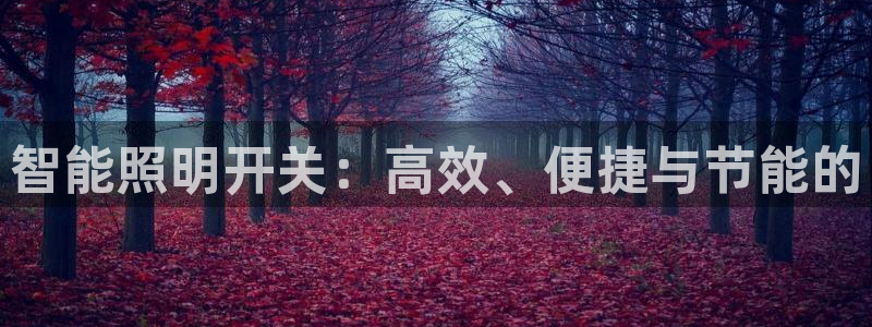 云顶国际俱乐部电话