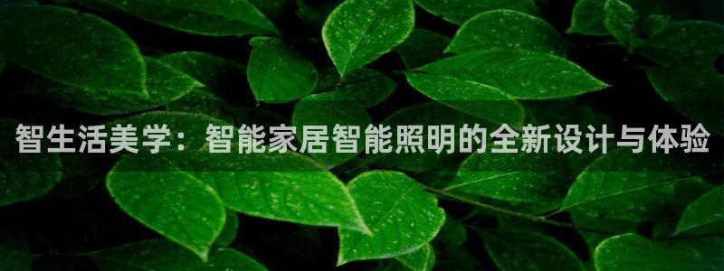 云顶国际游戏官方网站