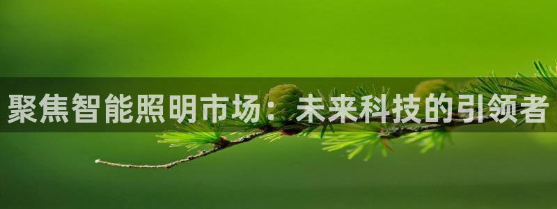 云顶国际app官方网站下载