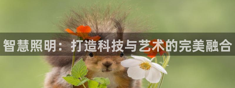 云顶国际官网唯一官方网站