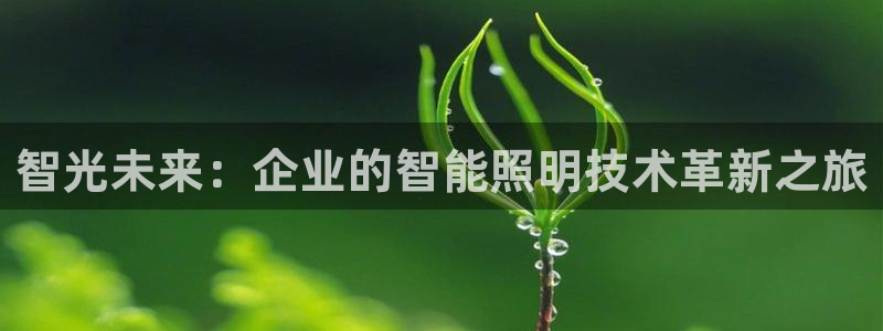 云顶国际服S9什么时候更新